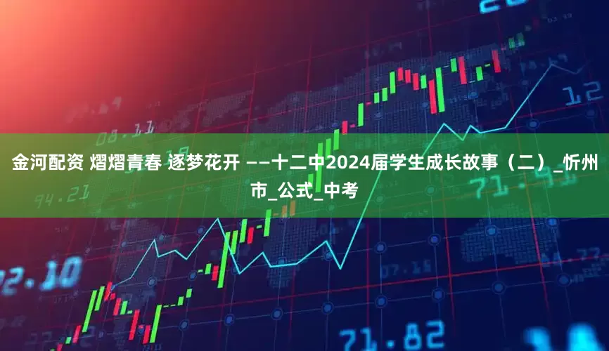 金河配资 熠熠青春 逐梦花开 ——十二中2024届学生成长故事（二）_忻州市_公式_中考