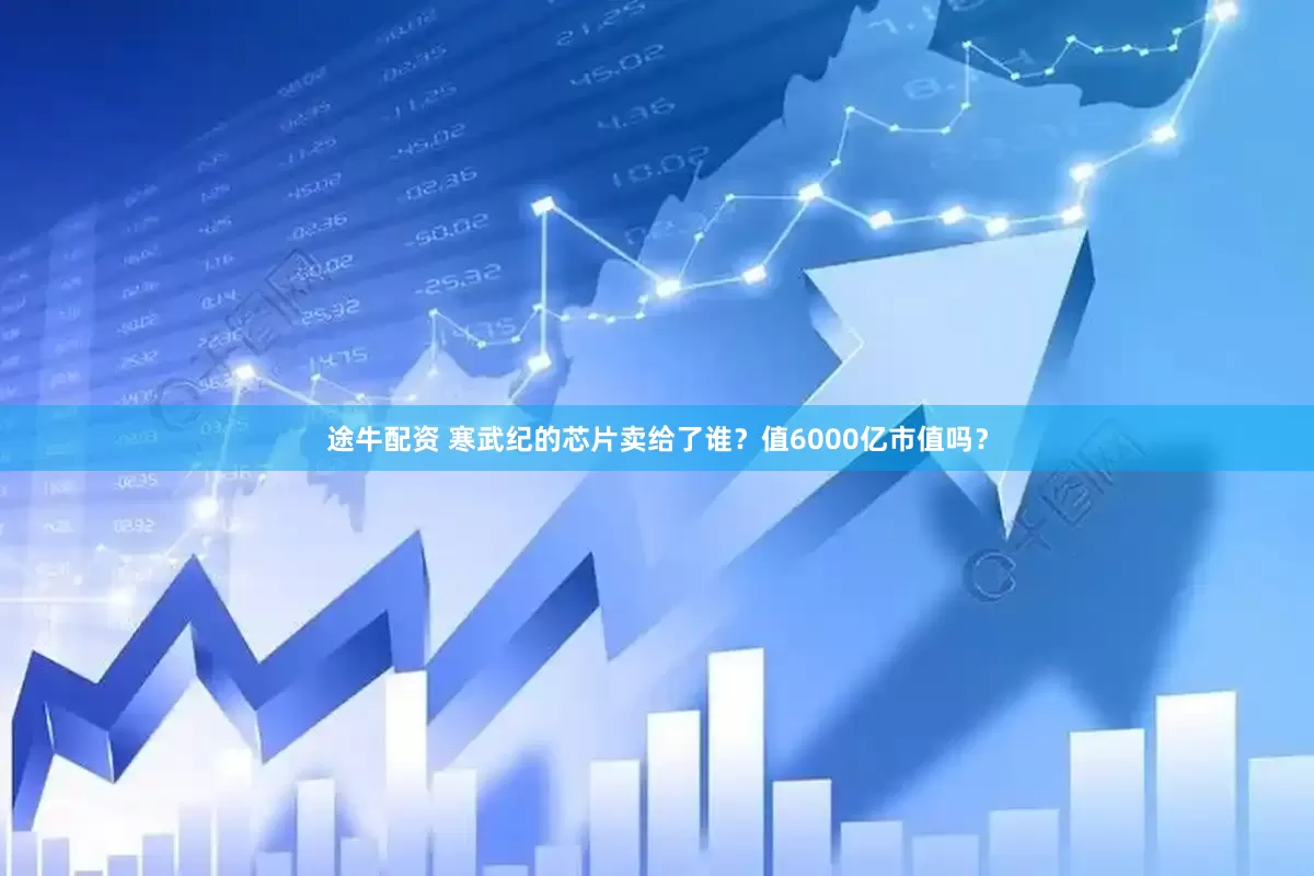 途牛配资 寒武纪的芯片卖给了谁？值6000亿市值吗？