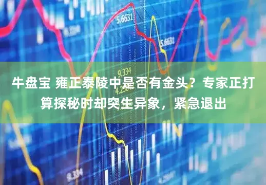 牛盘宝 雍正泰陵中是否有金头？专家正打算探秘时却突生异象，紧急退出