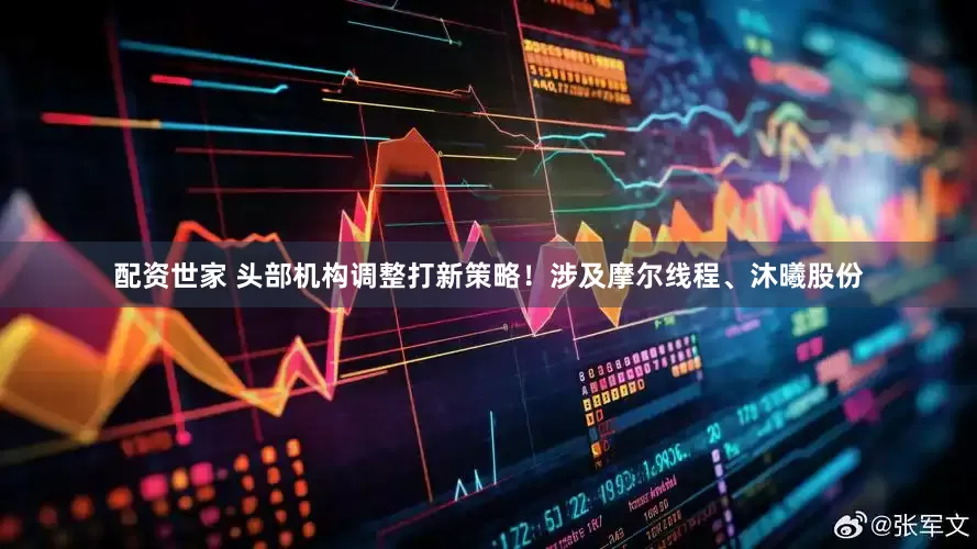 配资世家 头部机构调整打新策略！涉及摩尔线程、沐曦股份