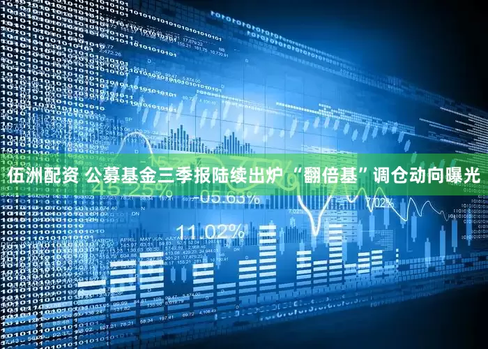 伍洲配资 公募基金三季报陆续出炉 “翻倍基”调仓动向曝光